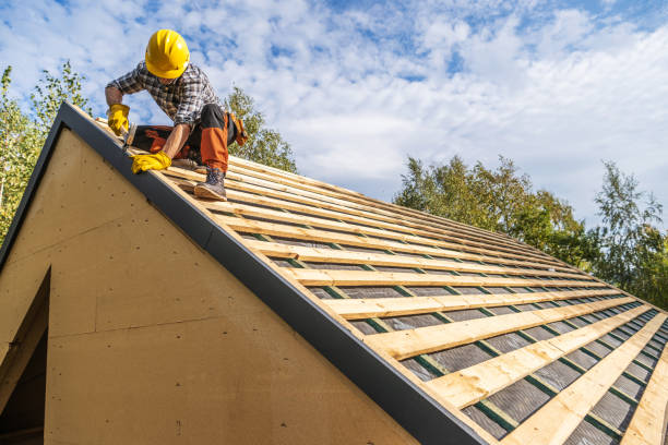 Professional Roofing Contractor in Newport, OR